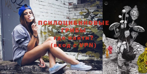 индика Алексеевка