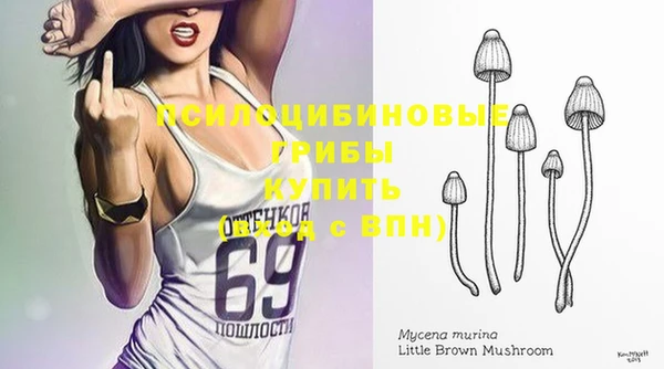 не бодяженный Алексин