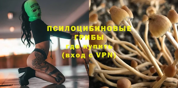 индика Алексеевка